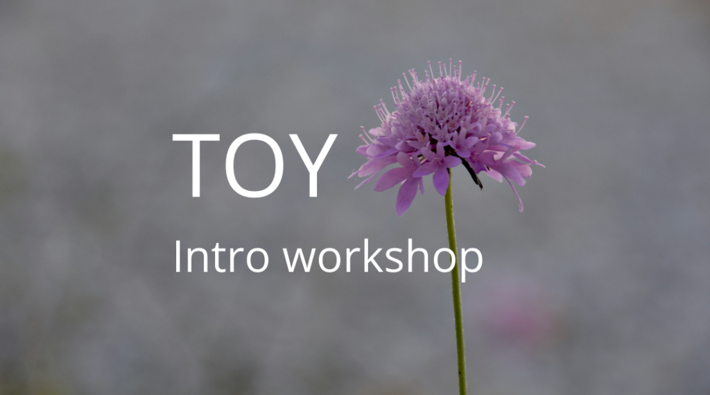 TOY intro