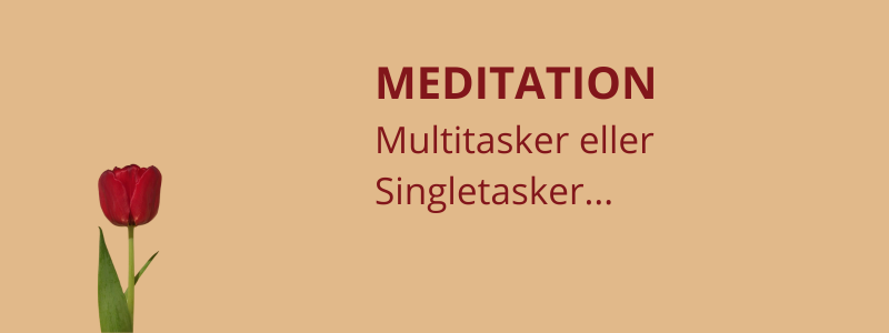 MEDITATION - Multitasker eller Singletasker