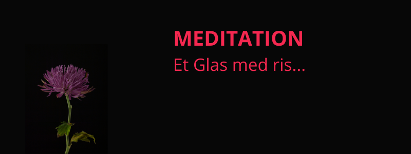 MEDITATION - Et glas med ris