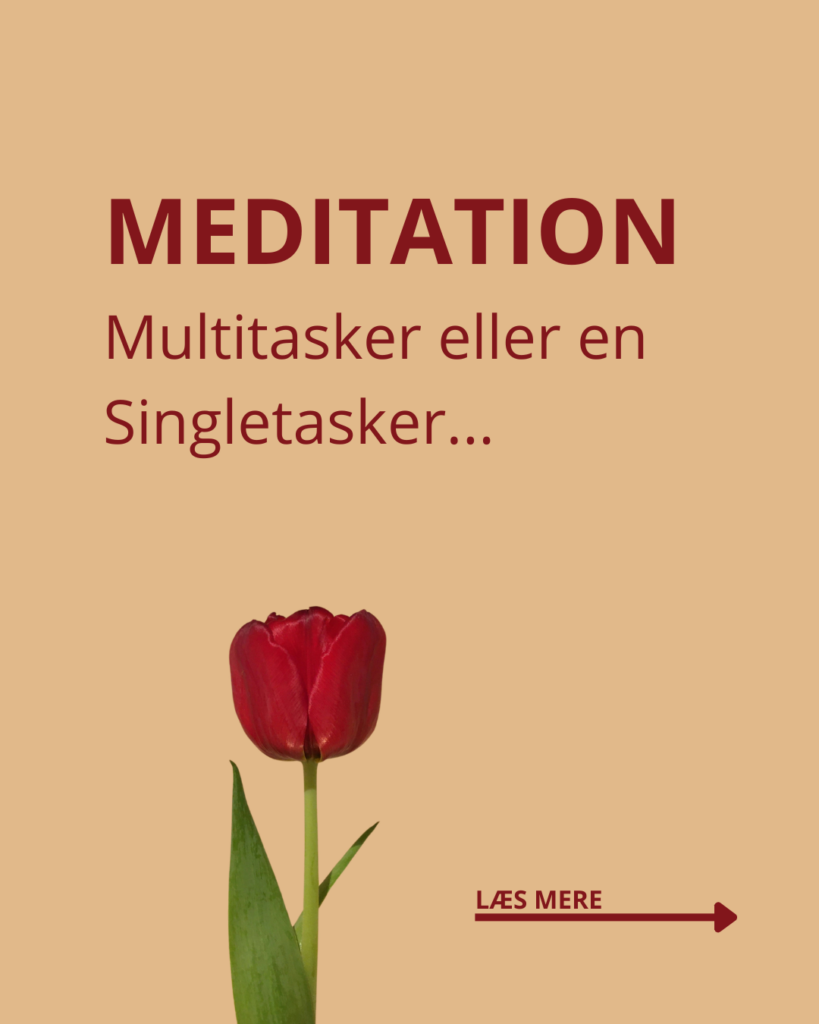 MEDITATION - Multitasker eller Singletasker